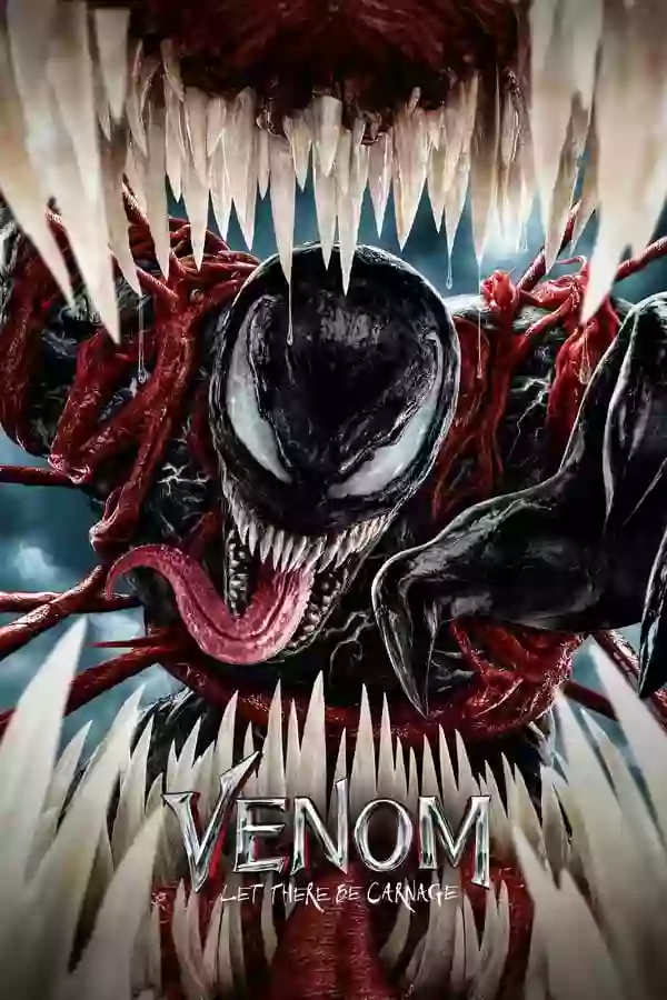 visQo